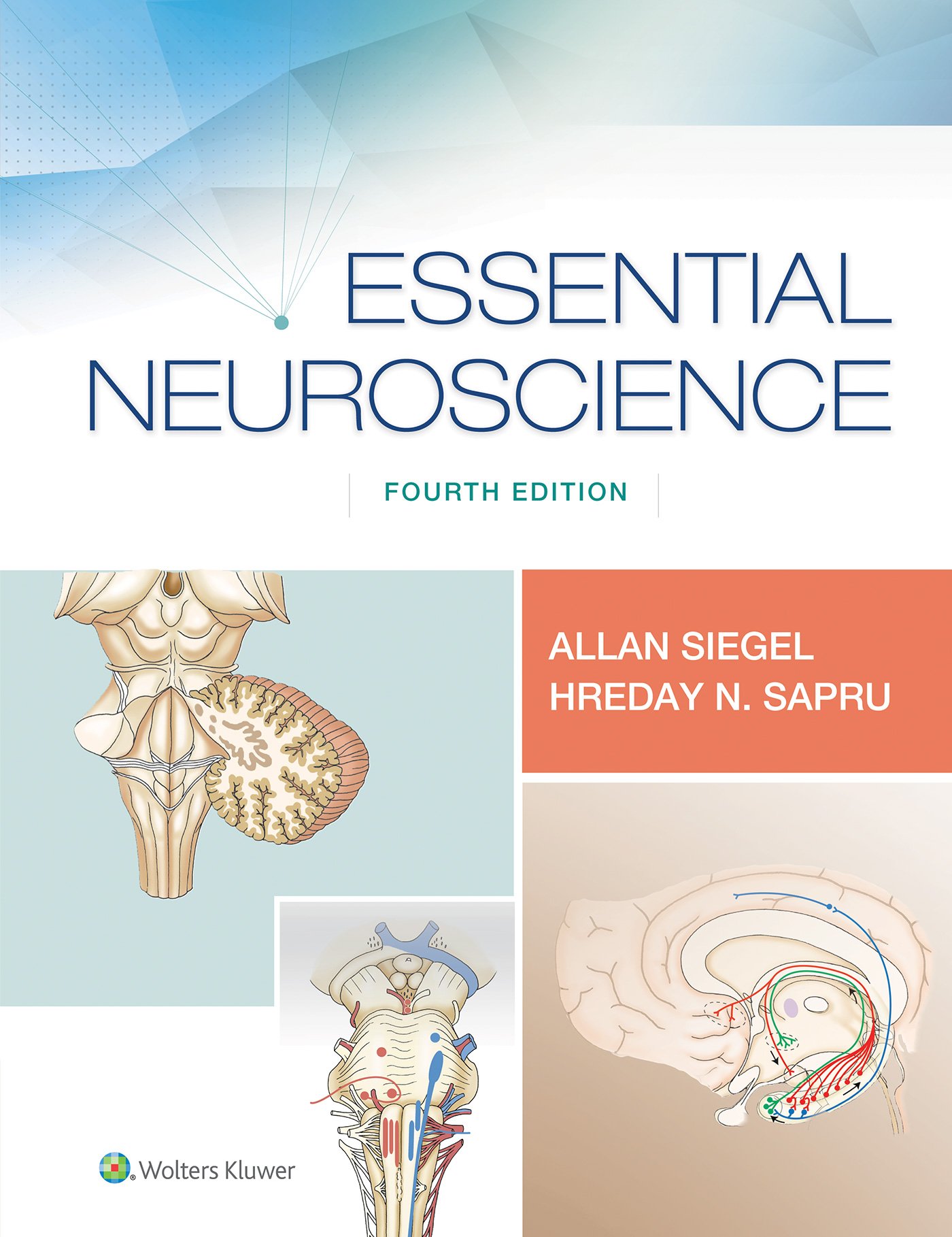 Essential Neuroscience Textbook - Comprehensive Guide for Students & Professionals | Study, Research & Clinical Reference