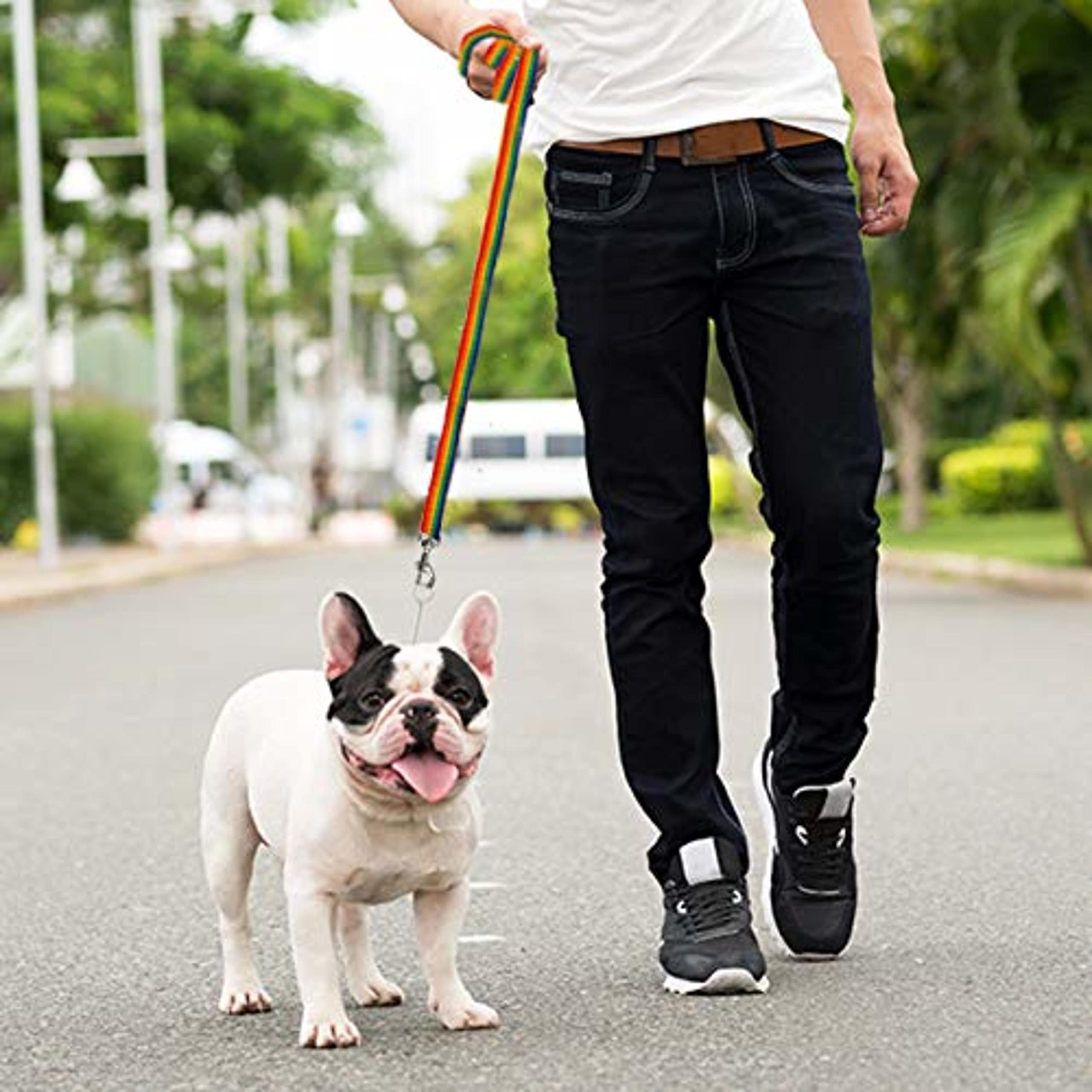 **Downtown Pet Supply 50ft Rainbow Nylon Dog Leash - Long Training Leash for Recall & Obedience - Durable Outdoor Walking, Hiking & Backyard Play for Medium & Large Dogs**