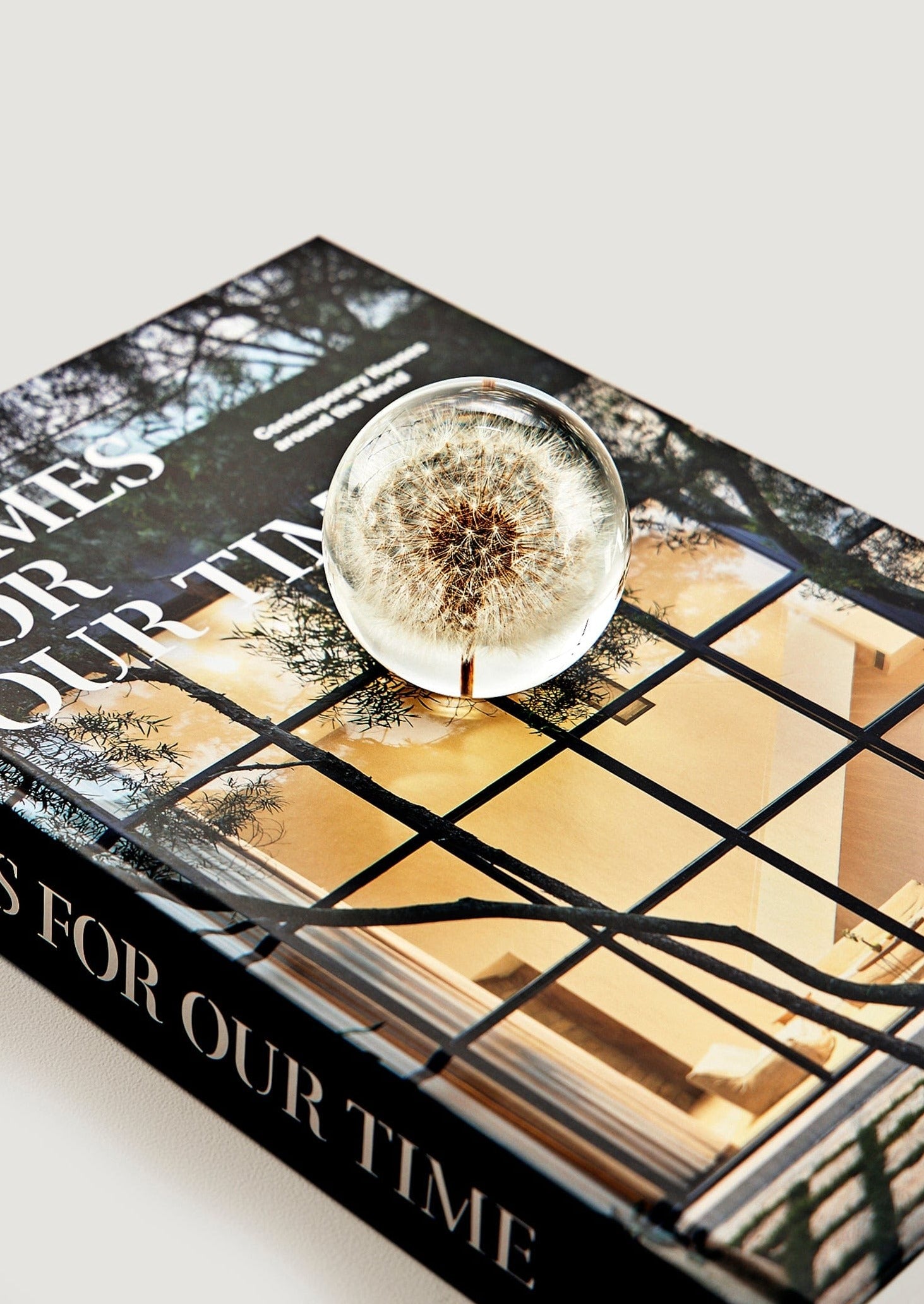 Natural Preserved Dandelion Head Paperweight - Unique Home Office Desk Decor for Writers & Plant Lovers - Perfect Gift for Bookworms and Nature Enthusiasts