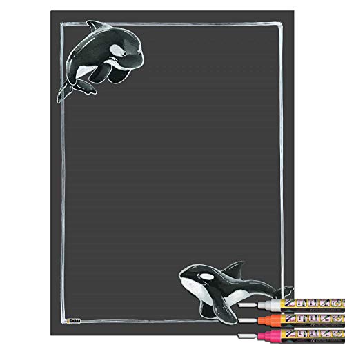 Killer Whale With 3 Bright Markers