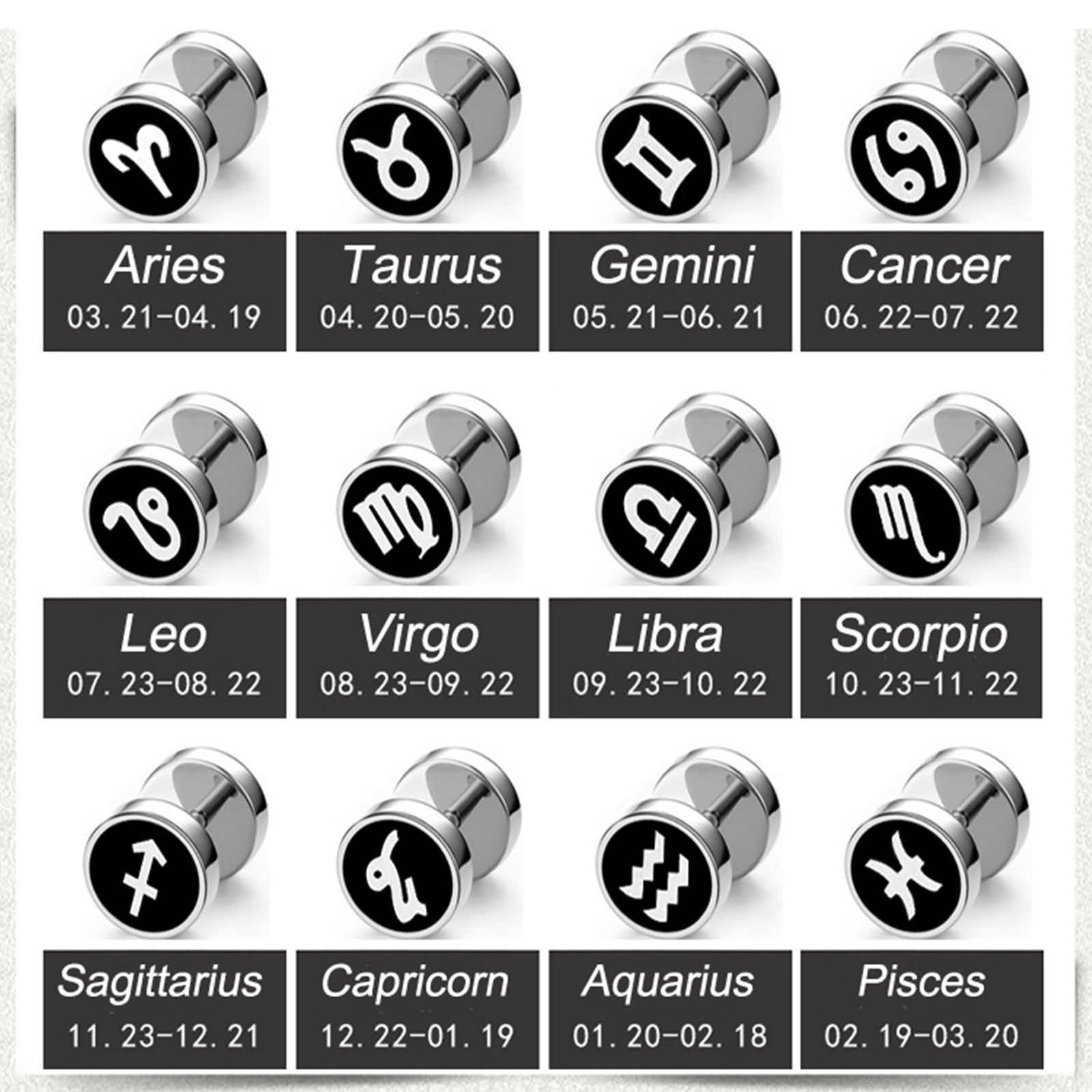 Stainless Steel Zodiac Sign Stud Earrings for Women & Men - Perfect for Daily Wear, Gifts & Astrology Lovers