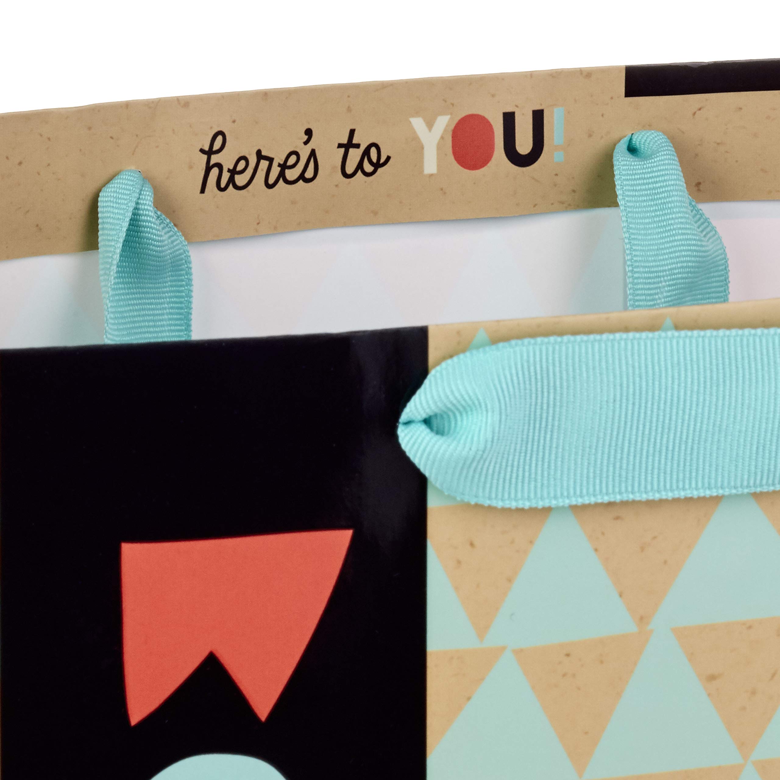 Hallmark Celebrate Gift Bags Assortment with Tissue Paper - Pack of 3 (2 Large 13