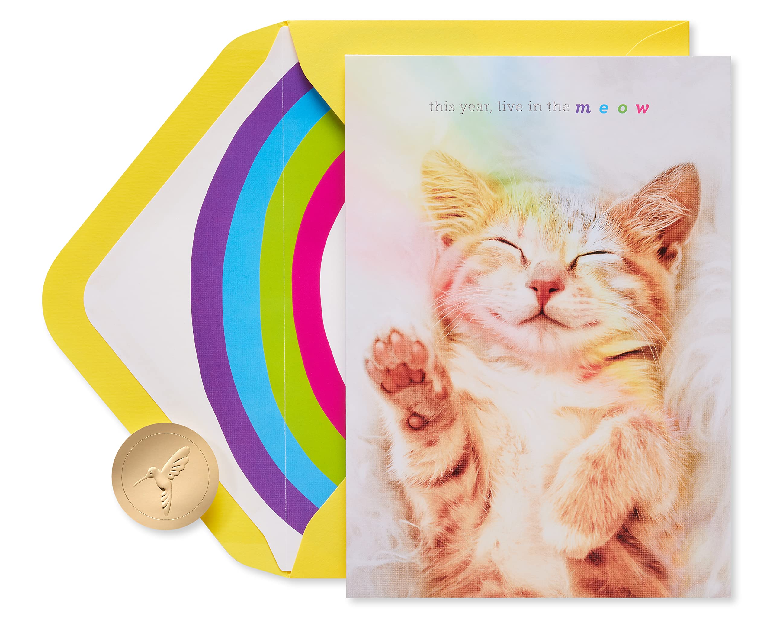 Papyrus Cat Birthday Card - Happy Birthday Greeting Card for Cat Lovers | Perfect for Cat Themed Parties & Pet Celebrations