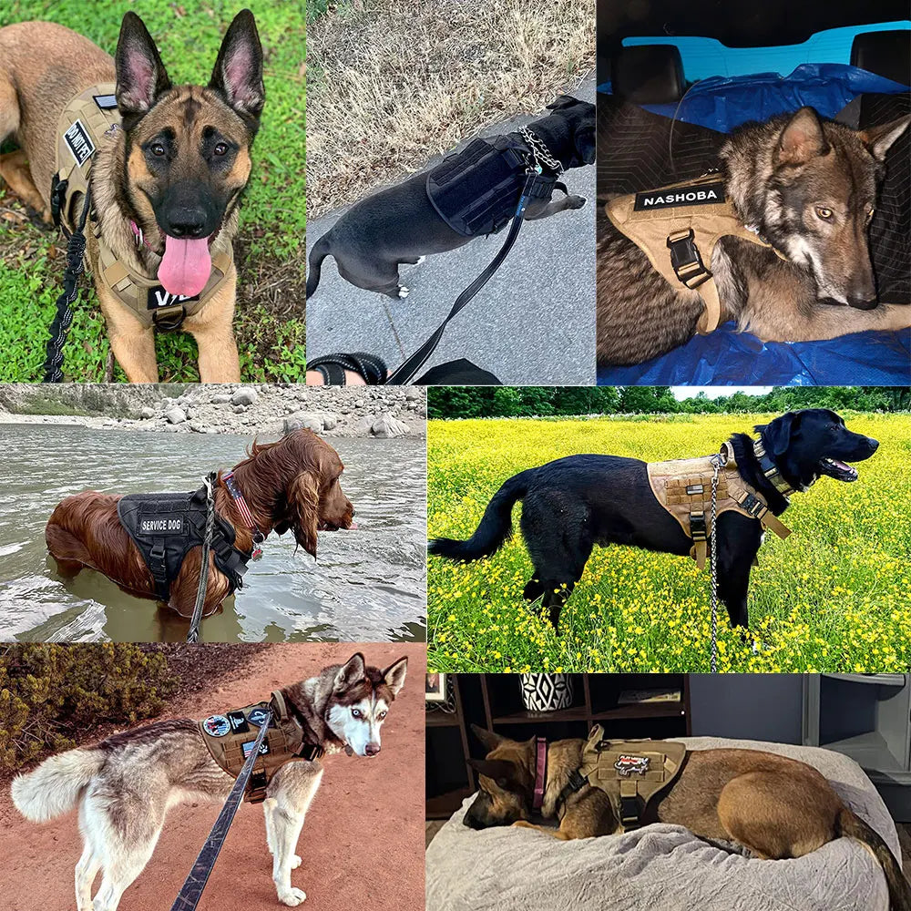 Premium Heavy Duty Tactical No Pull Dog Harness Kit - Adjustable Reflective Vest for Large Dogs - Perfect for Hiking, Training & Outdoor Adventures