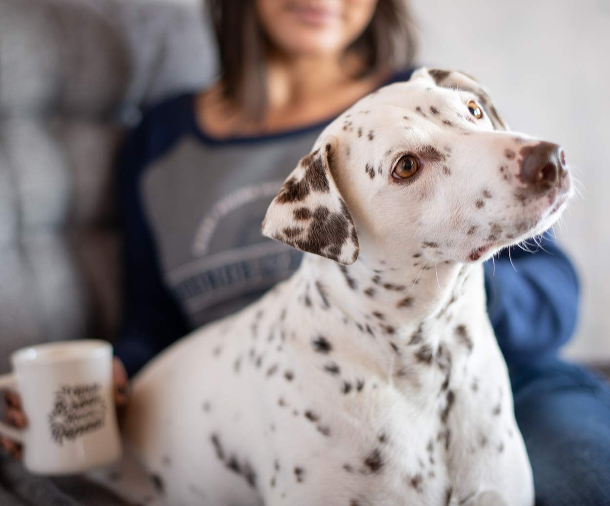 Grounds & Hounds Alpha Blend Organic Whole Bean Dark Roast Coffee - 2lb Bag | 100% Arabica Beans for Rich Flavor | Perfect for Home Brewing, Office & Gifting