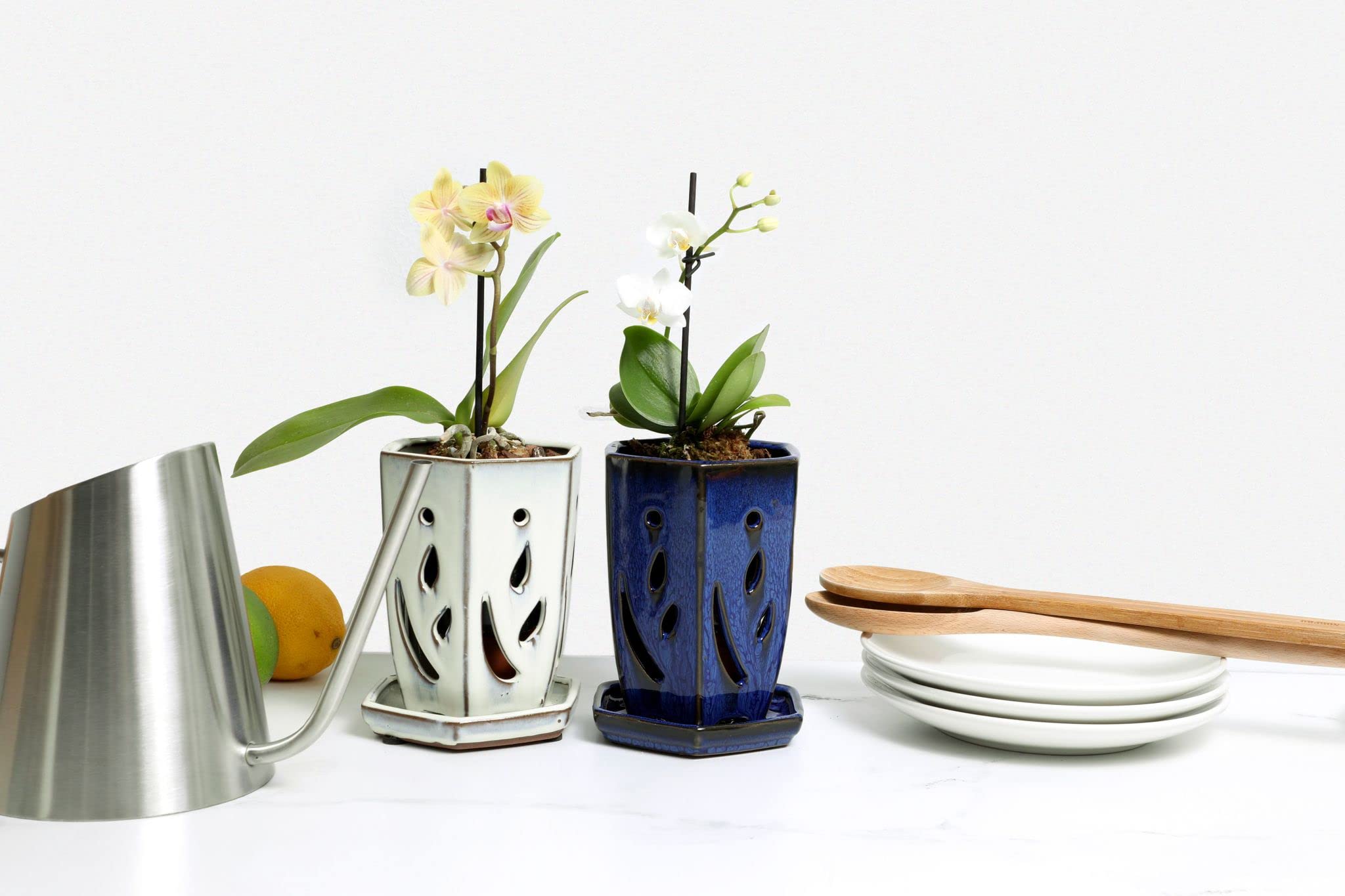 rePotme 4 x 6 Inch White Diamond Ceramic Orchid Pot with Drainage Holes - Hexagon Planter for Phalaenopsis, Dendrobium & Cattleya Orchids - Perfect for Indoor Home Decor & Greenhouse Growing
