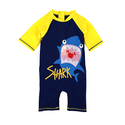 Shark002