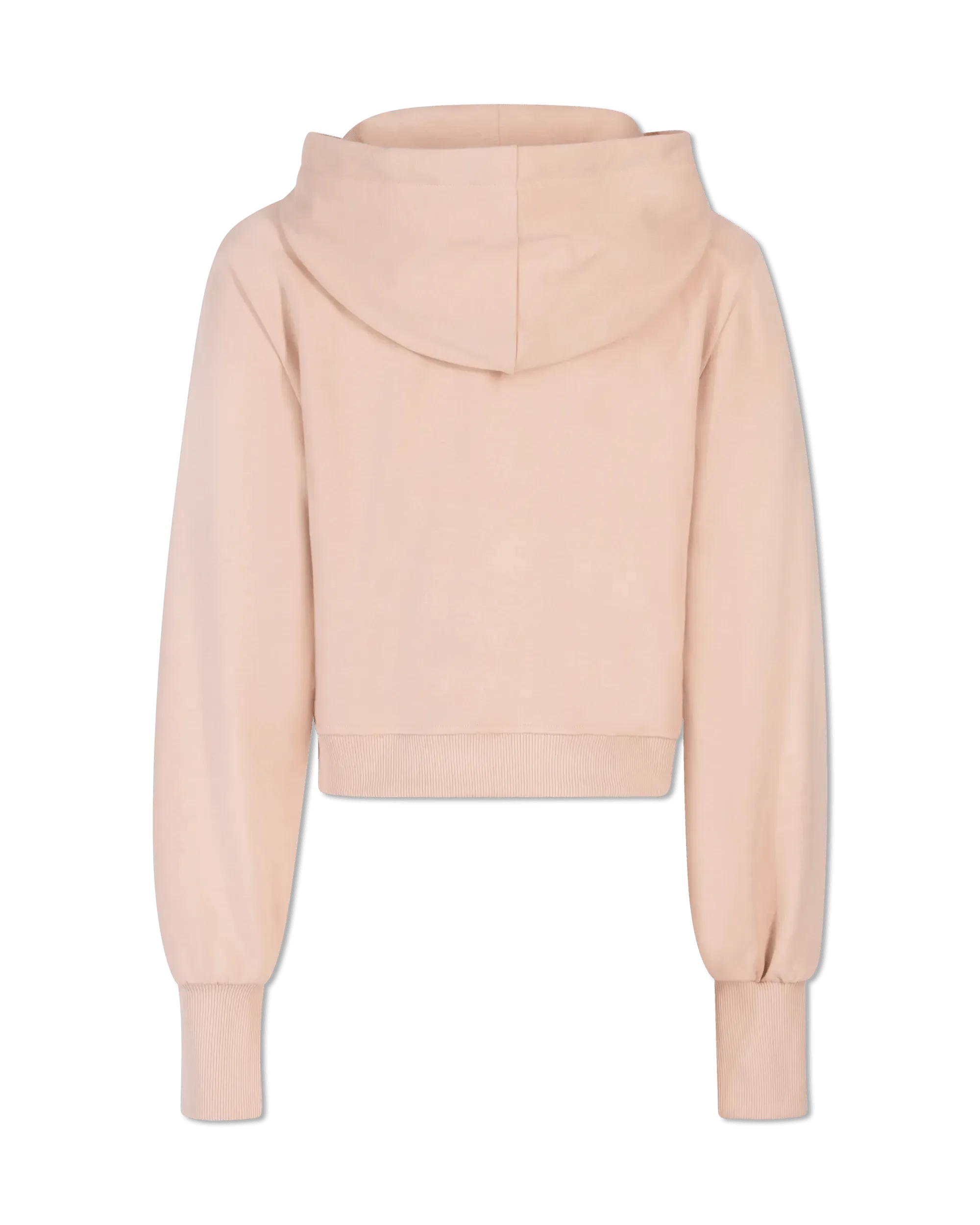 Fendi Brush Logo Hoodie for Men & Women | Luxury Cotton Pullover Sweatshirt | Streetwear Fashion | Perfect for Casual Wear & Gym Outfits