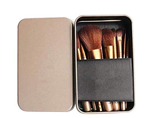 Premium 12-Piece Makeup Brush Set with Silver Storage Box - Soft Bristles for Foundation, Blending, Contouring - Perfect for Professional Makeup Artists & Home Use