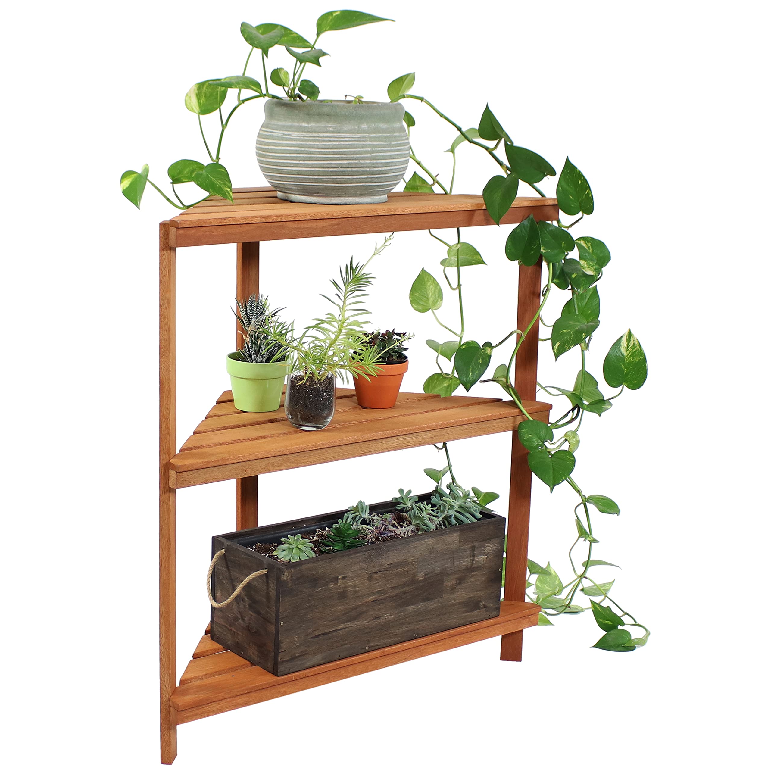 Premium Sunnydaze Meranti Wood 3-Tier Corner Plant Stand with Teak Oil Finish - Indoor/Outdoor Wooden Shelves for Potted Plants - 36-Inch Tall Planter Display for Patio, Garden, Living Room & Balcony Decor