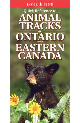 Lone Pine Quick Reference Guide to Animal Tracks in Ontario & Eastern Canada - Perfect for Hiking, Camping, and Wildlife Observation