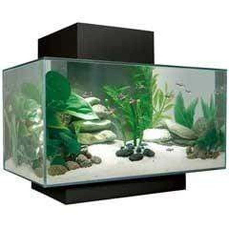 Fluval EDGE 2.0 LED Aquarium Kit - 6 Gallon (23L) Black Tank with High-Intensity Lighting for Freshwater Fish, Shrimp & Plants - Perfect for Home, Office & Classroom Aquascaping