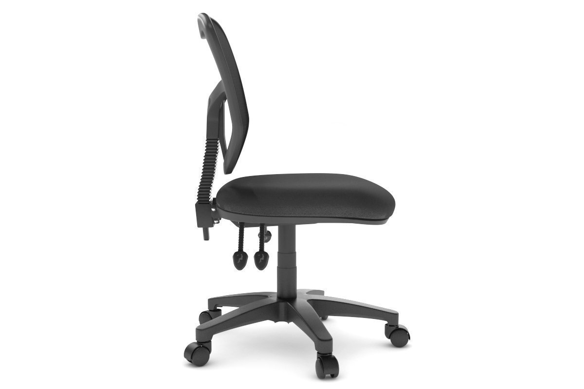 Plover Ergonomic Office Chair with Breathable Mesh Back - Adjustable Lumbar Support & Tilt Function for Home & Office Workspaces