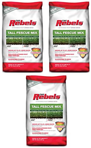 Pennington The Rebels Tall Fescue Grass Seed Mix - 20 lb (3 Bags) | Drought-Resistant Lawn Seed for Sunny Yards & High-Traffic Areas | Perfect for Home Lawns, Parks & Sports Fields