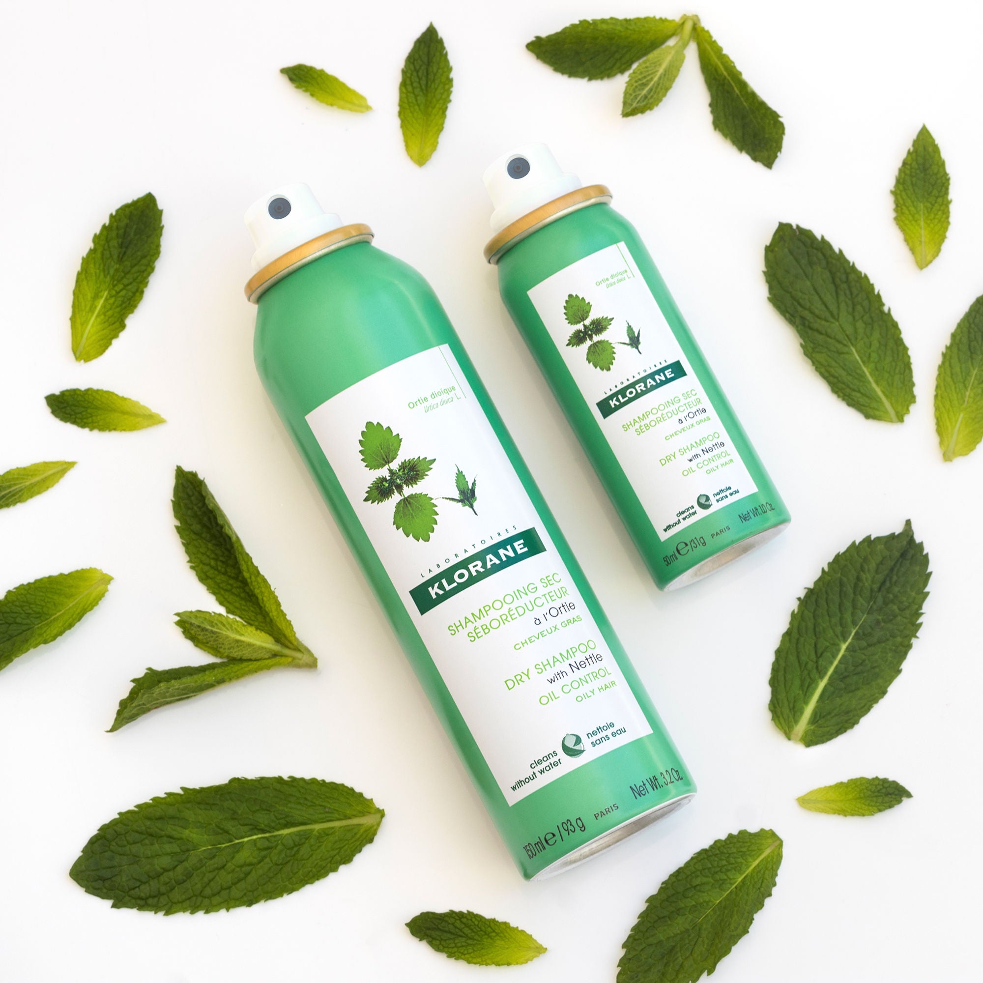 Nettle Infused Dry Shampoo for Oily Hair - Volumizing & Refreshing Hair Care for Women & Men - Perfect for Travel, Gym & Busy Mornings