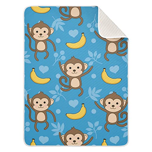 14-monkey