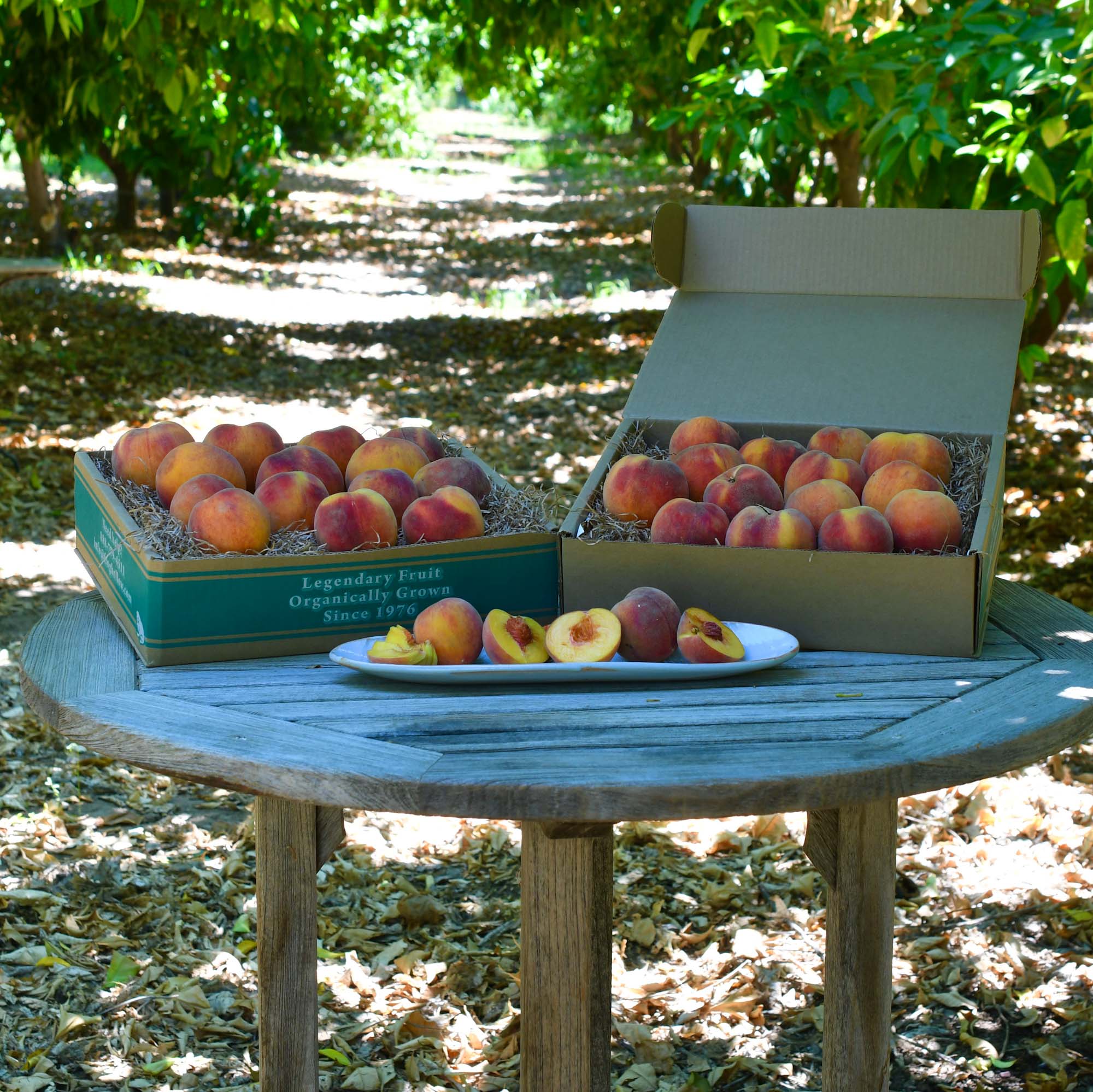 Organic Suncrest Peaches - Fresh Sweet Juicy Peaches for Eating & Baking | Pre-Order Now for Spring 2025 Delivery | Perfect for Smoothies, Pies, and Healthy Snacks