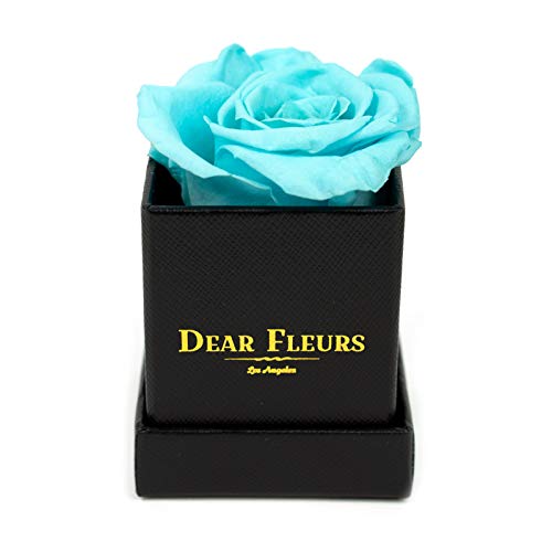 Petit Rose | Real Preserved Roses That Last 1 Year | Luxury Gift Box in Turquoise & Black Leather (Perfect for Anniversaries, Valentine's Day & Romantic Gifts)