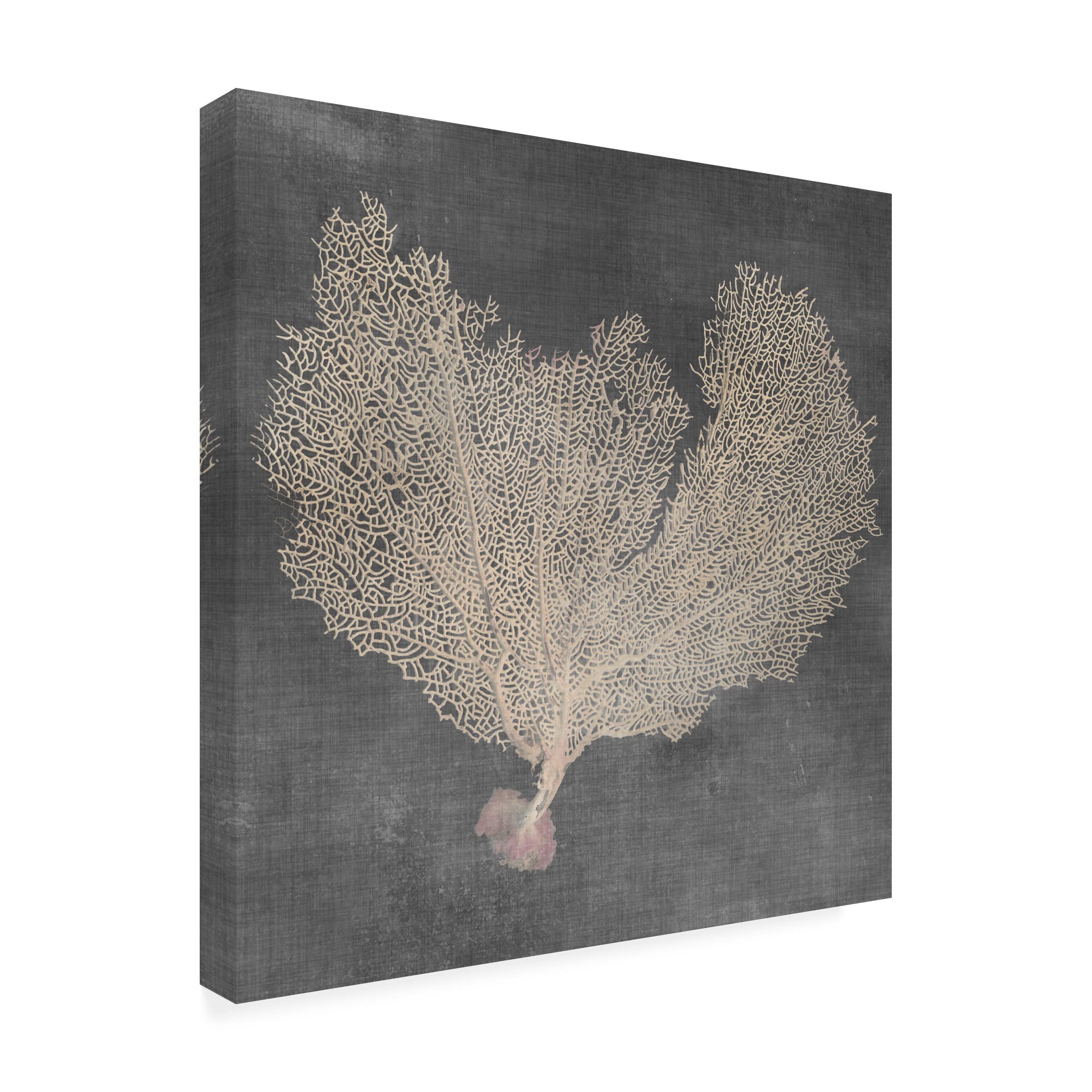 Trademark Fine Art 'Natural Sea Fan VI' Canvas Wall Art by Vision Studio - Perfect for Living Room, Bedroom & Office Decor