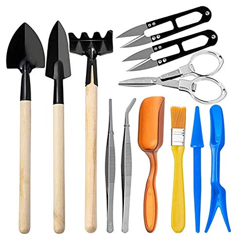 12-Piece Garden Tools Set with Hand Trowel, Transplant Trowel & Cultivator Rake - Durable Stainless Steel Gardening Kit for Planting, Weeding & Soil Cultivation - Perfect for Home Gardeners & Outdoor Enthusiasts