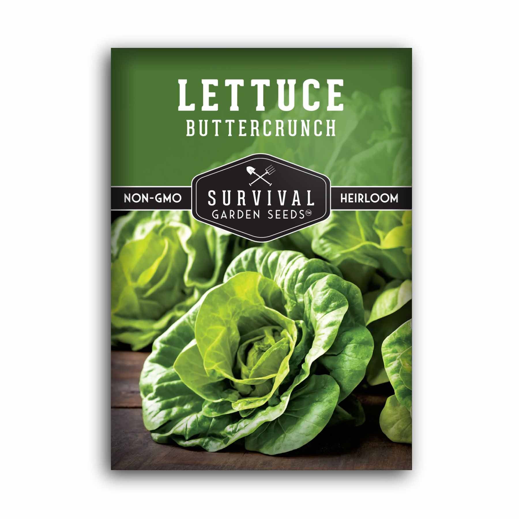 Organic Buttercrunch Lettuce Seeds for Planting - Non-GMO, Heirloom Variety - Perfect for Home Gardens, Salads & Fresh Eating