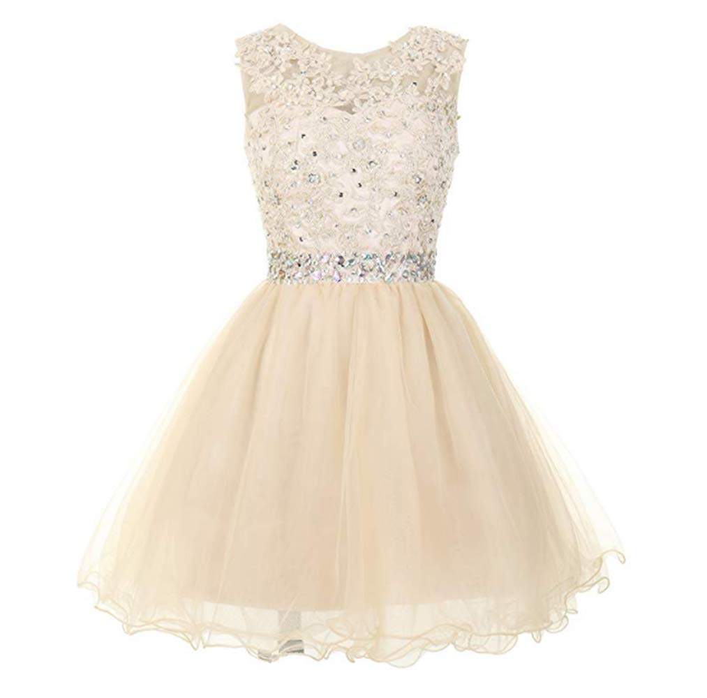Elegant Beaded Short Prom Dresses for Women 2023 - Appliques Homecoming & Cocktail Party Gowns | Perfect for Formal Events, Dances, and Special Occasions