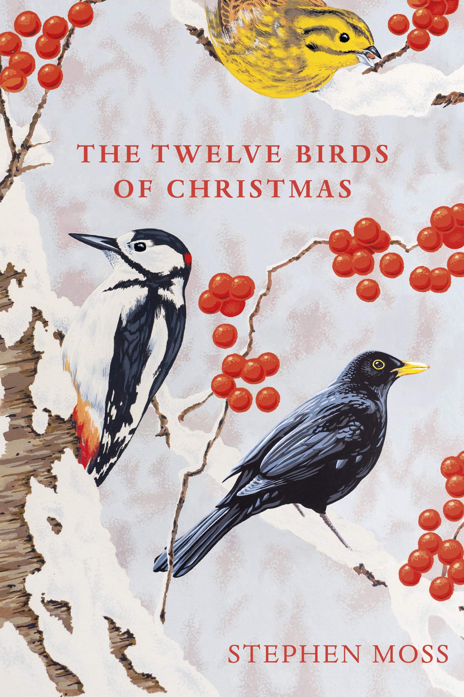 12 Birds of Christmas Ornaments - Handcrafted Holiday Decor for Tree, Mantel & Festive Home Decorating