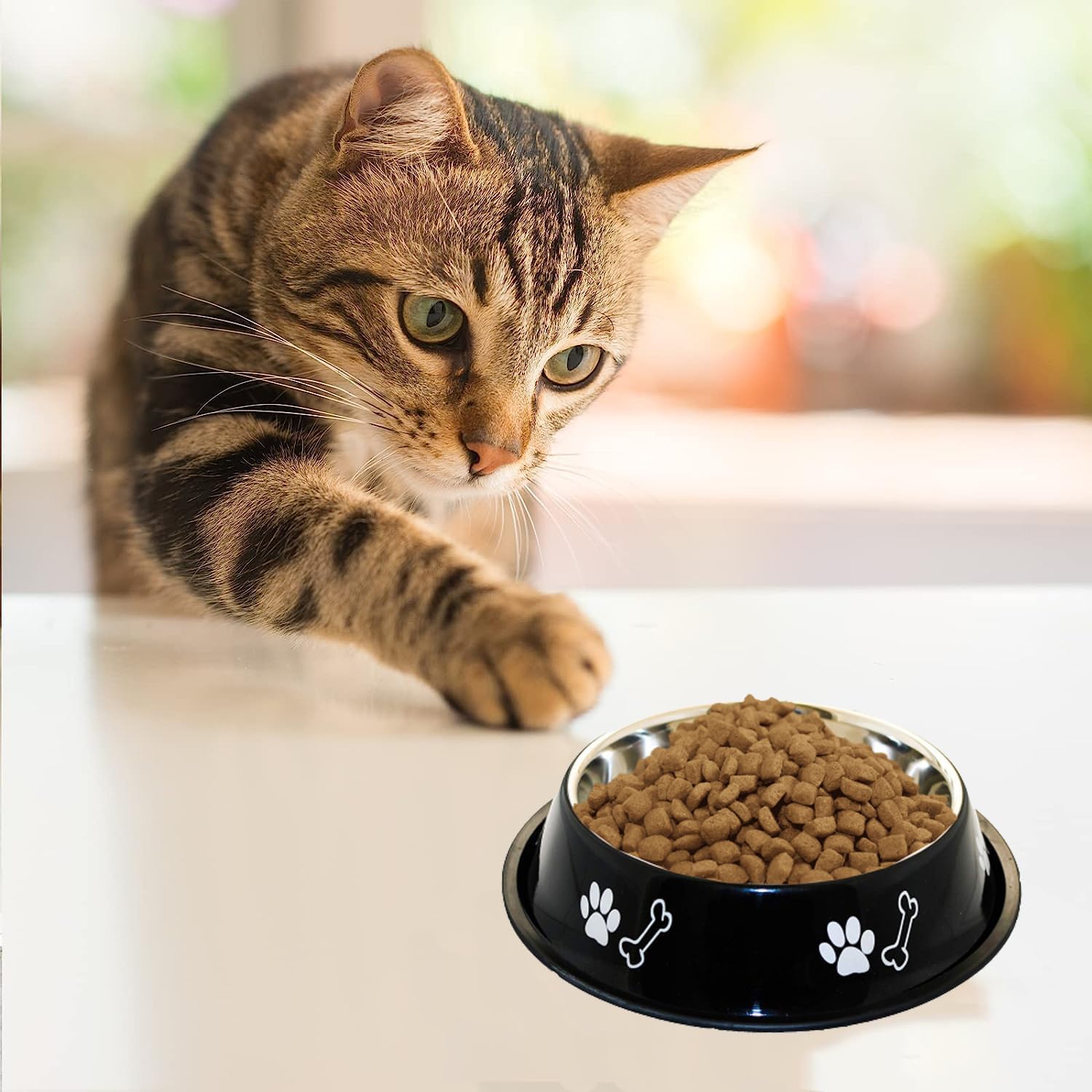 Movson 1000ml Stainless Steel Pet Bowl with Non-Slip Rubber Base - Premium Dog Cat Rabbit Food & Water Dish - Rustproof & Scratch Resistant - Ideal for Puppies, Kittens & Small Pets - Perfect for Home, Travel & Outdoor Use (2-Pack)