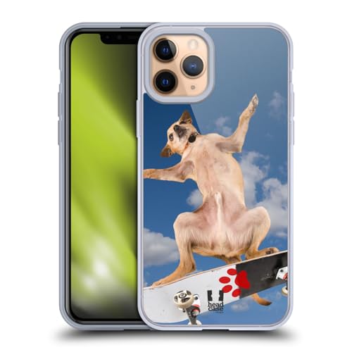Cool Chihuahua Skater