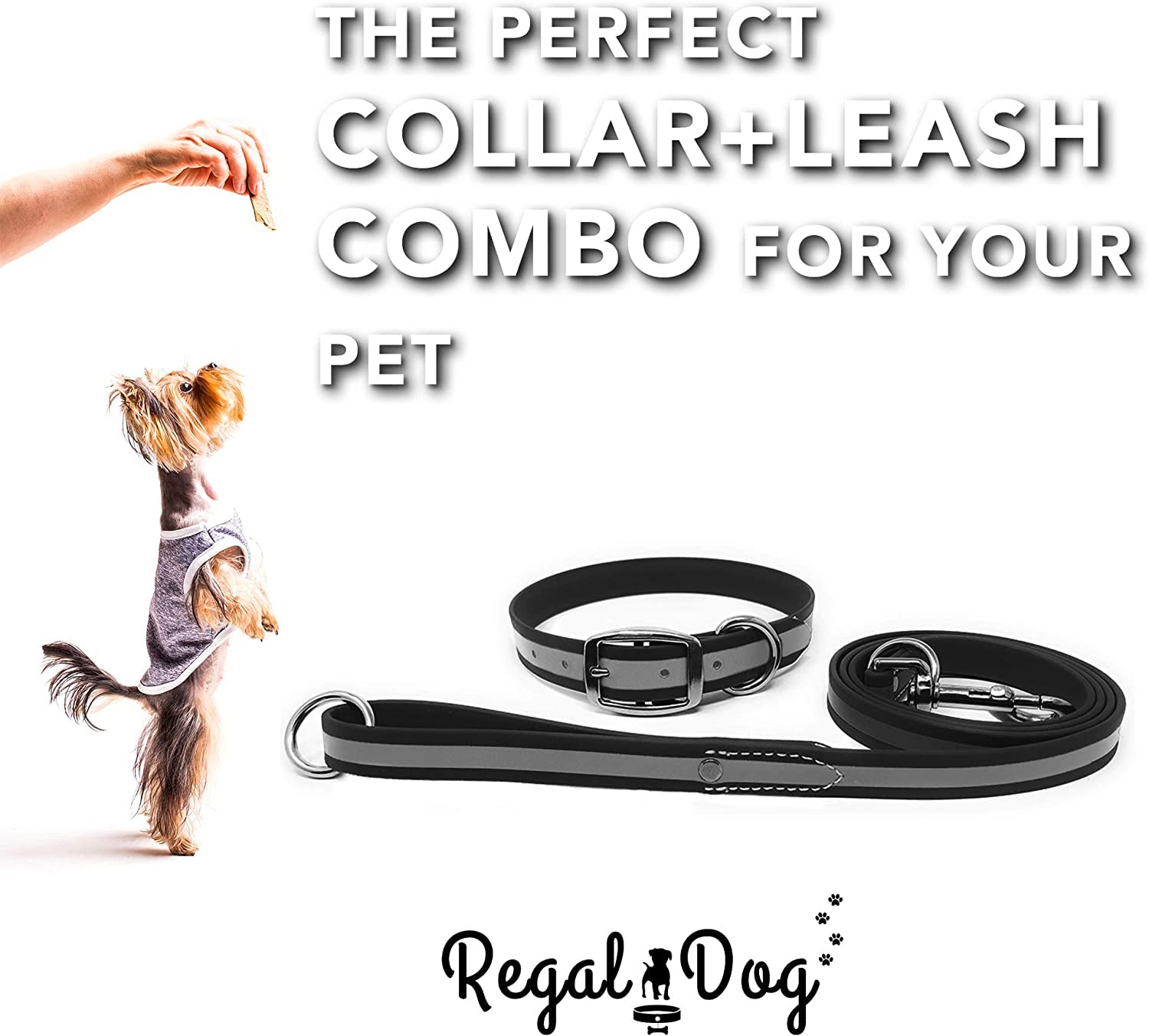Regal Dog Products Small Black Reflective Dog Collar and Leash Set - Waterproof Biothane Pet Collar with Heavy Duty Double Buckle, D-Ring & 5ft Lead for Small Dogs | Perfect for Night Walks, Training & Outdoor Adventures