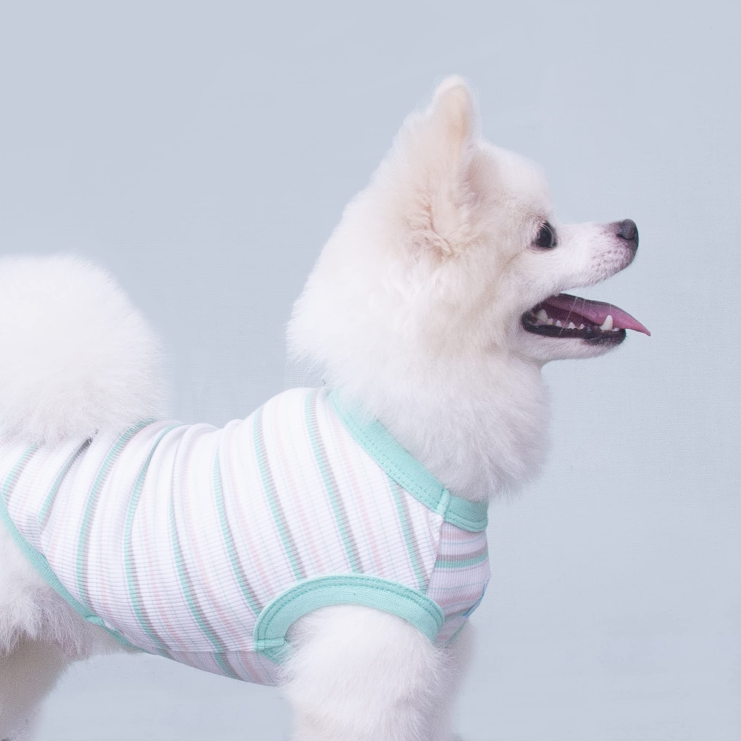 Striped Teacup Pet Dog T-Shirts - 100% Cotton Sleeveless Tank Vest for Small Dogs & Cats - Comfortable Puppy Clothes for Chihuahua, Yorkie - X-Small - Perfect for Summer Walks & Indoor Playtime