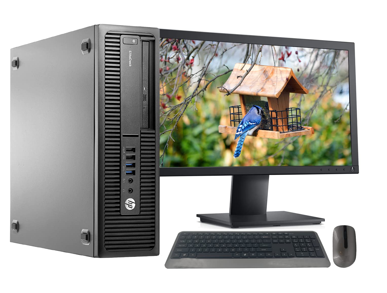 Renewed HP 705 G2 Desktop PC with AMD Pro A4-8350B R5 Processor | 8GB RAM, 1TB HDD | WiFi, Bluetooth, Wireless Keyboard & Mouse | 19