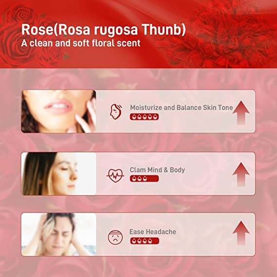 Premium ROSE Essential Oil (Gulab Oil) - 100% Pure, Cold-Pressed, Undiluted for Aromatherapy, Relaxation, Skin Care, Diffuser, Perfume & Bath - 15ml (Pack of 3) - Perfect for Spa, Massage & Home Fragrance
