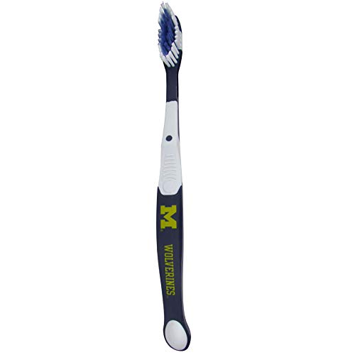 Michigan Wolverines