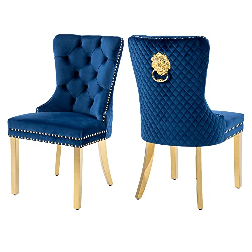 Blue+golden Stainless Steel Legs