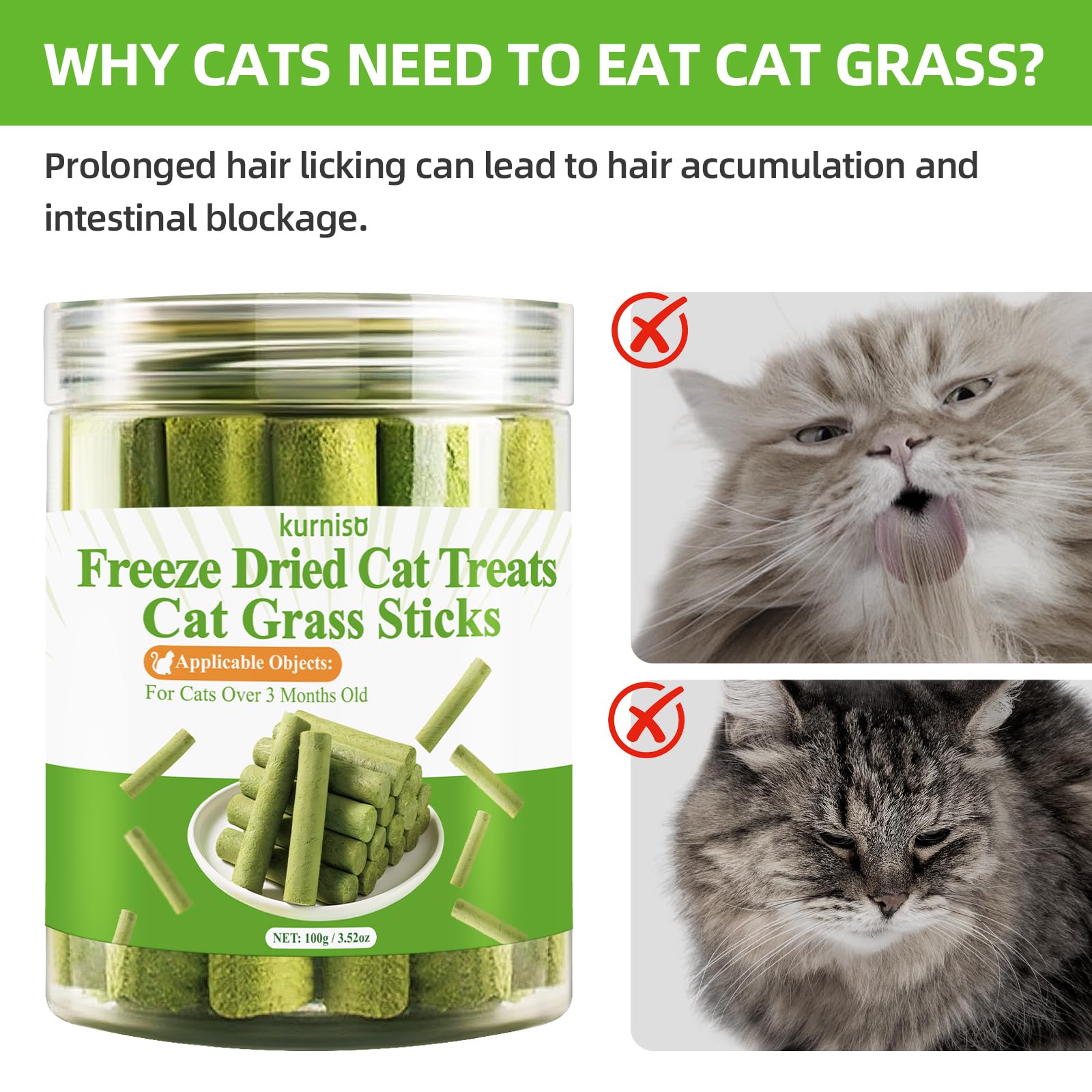 Natural Cat Grass Sticks 100g - Healthy Cat Treats for Hairball Control, Teeth Cleaning & Appetite Stimulation | Catnip-Infused Edible Chew Toys for Indoor Cats & Kittens | Perfect for Playtime, Training & Digestive Health