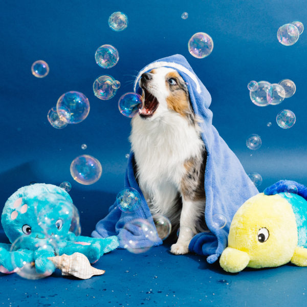 ZippyPaws Finn the Fish Grunterz Dog Toy - Interactive Squeaky Plush for Small & Medium Dogs - Perfect for Fetch, Tug-of-War & Cuddling Playtime