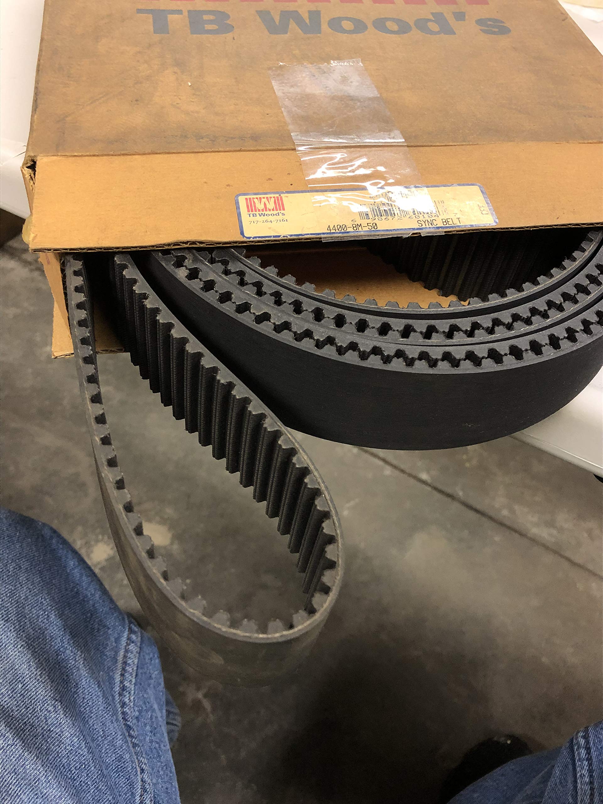 44008M50 Synchronous Timing Belt - 50