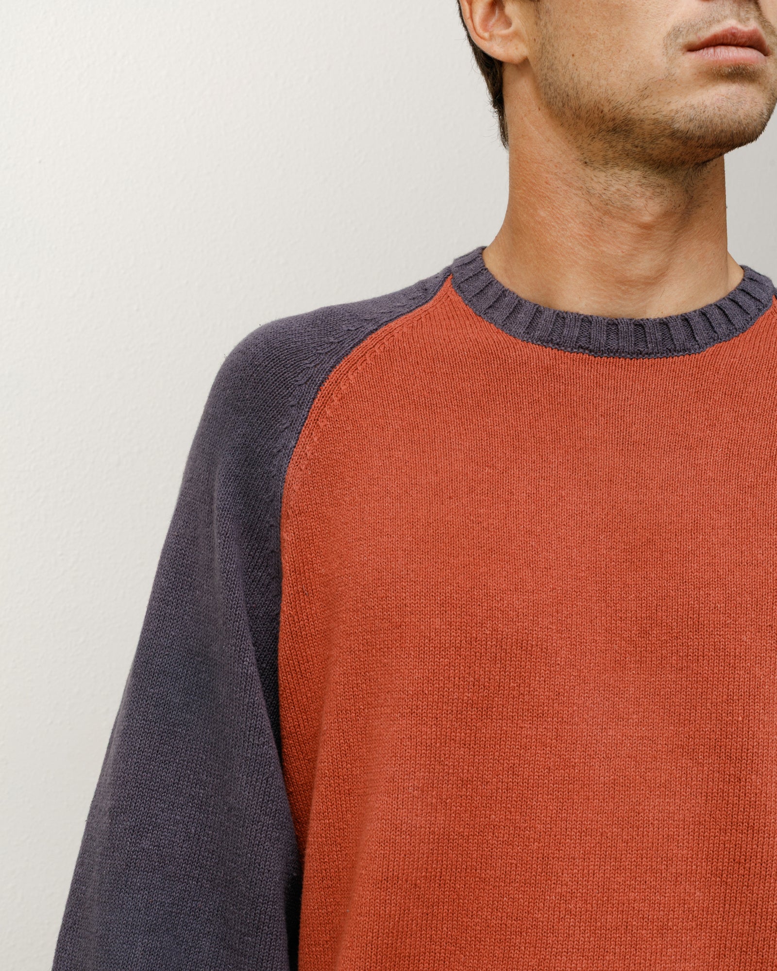 Colorblocked Raglan Knit Crew Neck Sweater - Stylish & Comfortable for Casual Wear, Layering & Fall Fashion