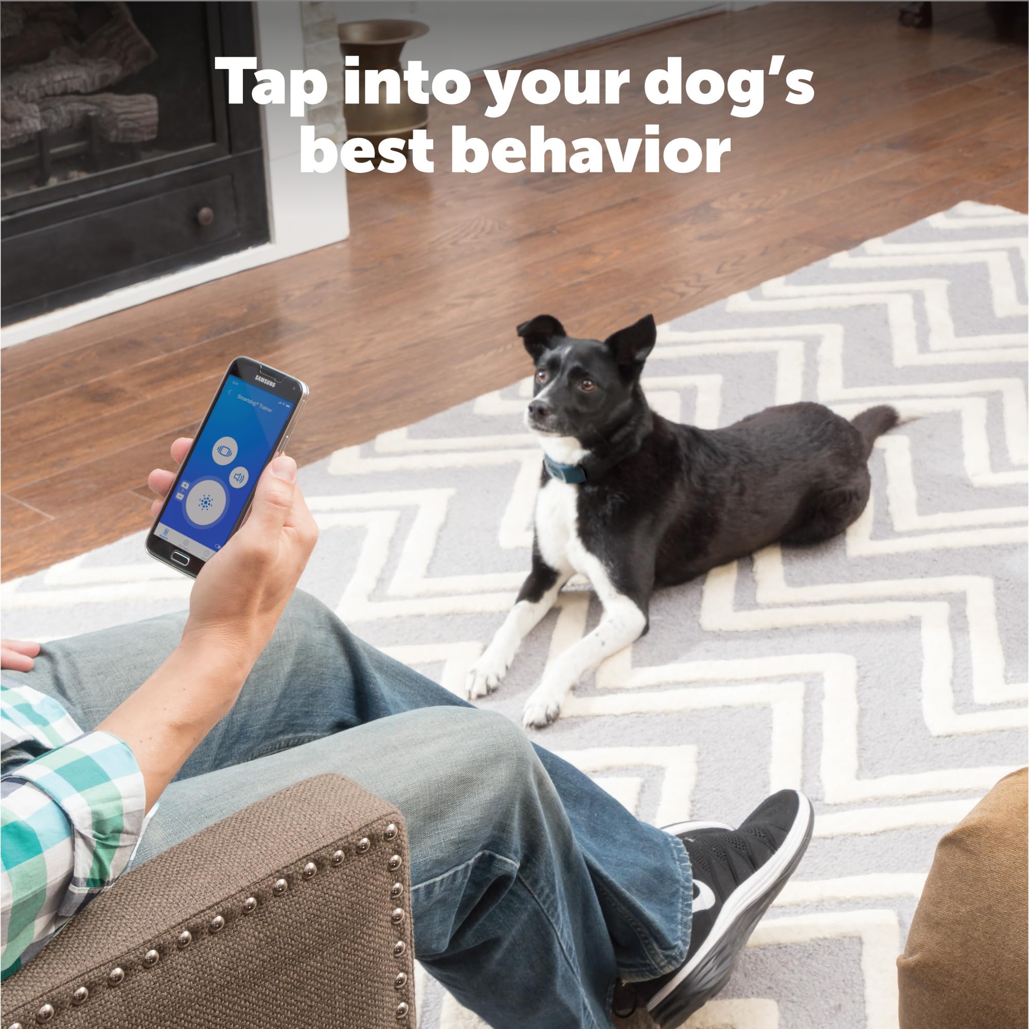 PetSafe Smart Dog Training Collar with Bluetooth - 15 Static Levels, Vibration & Tone - Remote Control via Smartphone App | Perfect for Obedience Training, Behavior Correction & Outdoor Adventures
