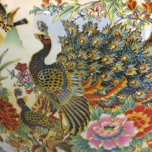 Satsuma Garden