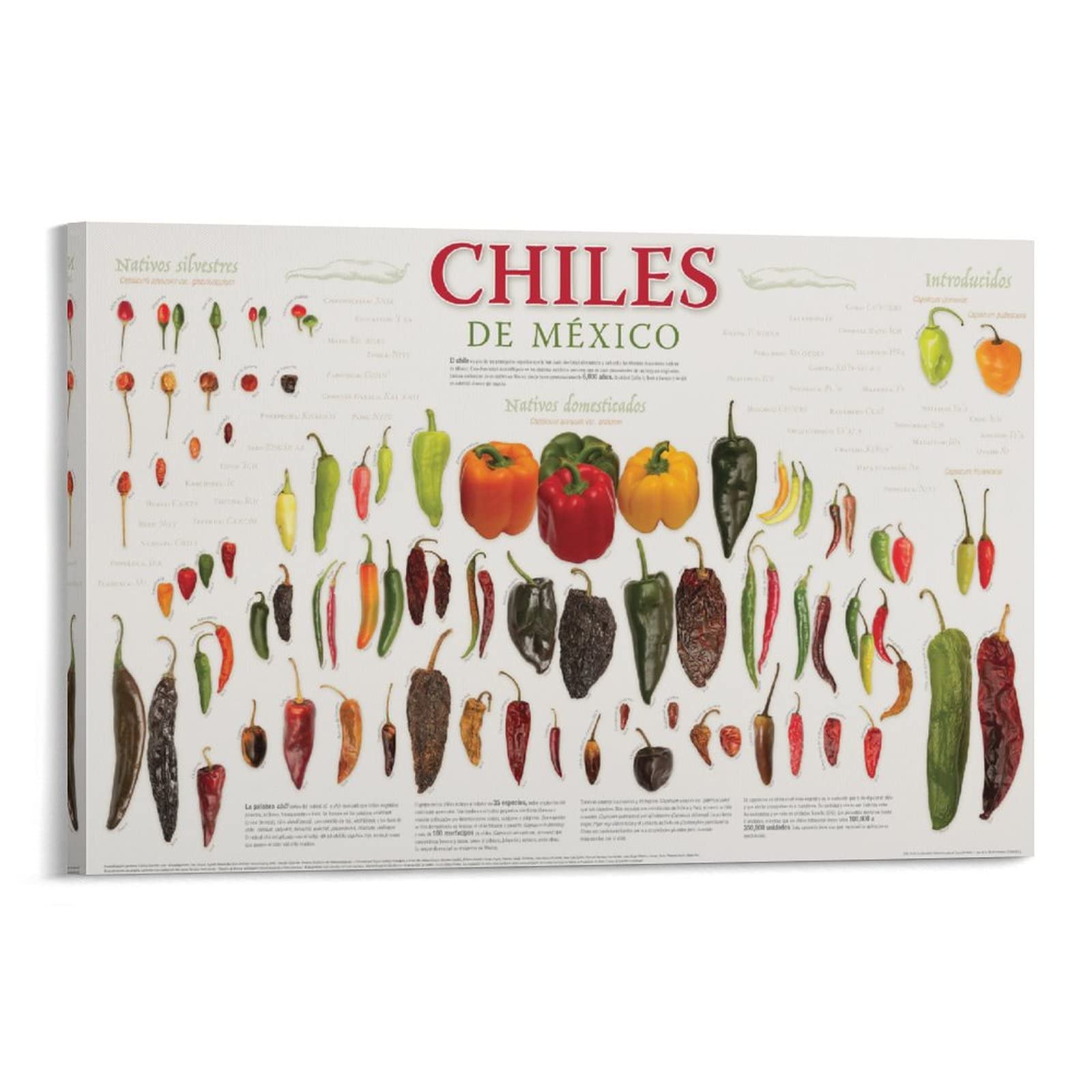 Pepper Identification Art Poster - 8x12 Inch (20x30cm) Canvas Wall Art Print for Kitchen, Living Room & Bedroom Decor - Perfect for Foodies & Home Styling