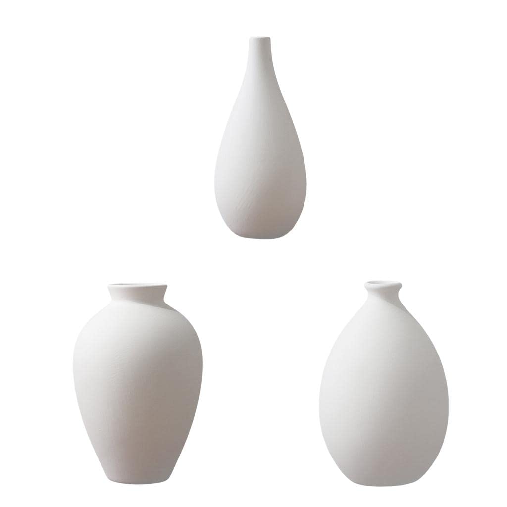 Baoblaze 3X Minimalist Ceramic Vase Set - Small Dry Flower Vase for Home Office Decor, Boho Table Centerpiece, Wedding & Photo Prop, Desktop Decoration for Living Room, Bedroom, and Workspace