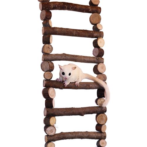 Branch Ladder - Sturdy Wooden Tree Climbing Ladder for Outdoor Adventures, Hunting & Gardening | Perfect for Tree Trimming, Fruit Picking & Backyard Projects