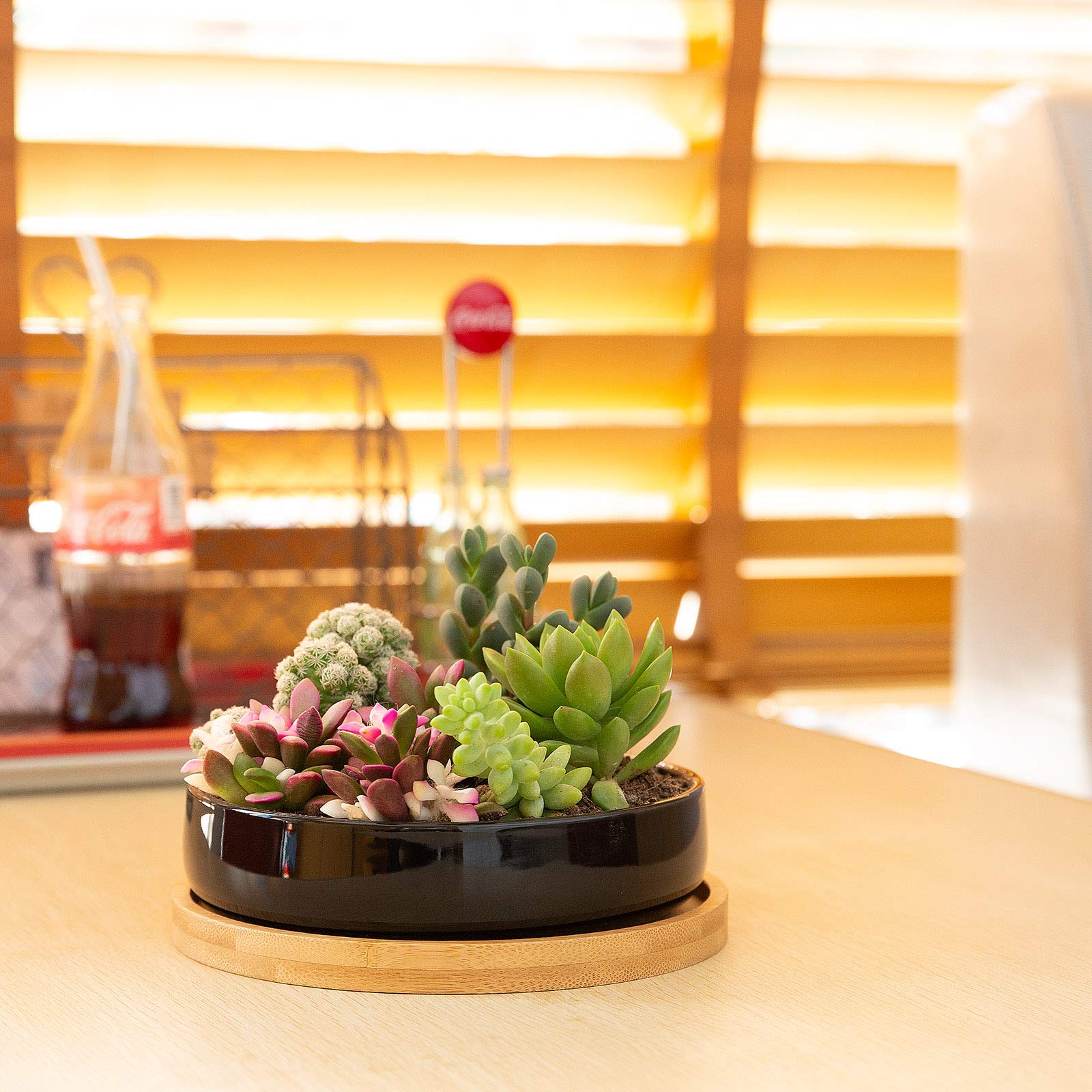 2 Pack 6 Inch Black Ceramic Succulent Plant Pots with Bamboo Tray & Drainage Hole - Indoor Flower Planters for Home, Office, Garden Decor | Perfect for Cactus, Aloe Vera & Small Houseplants