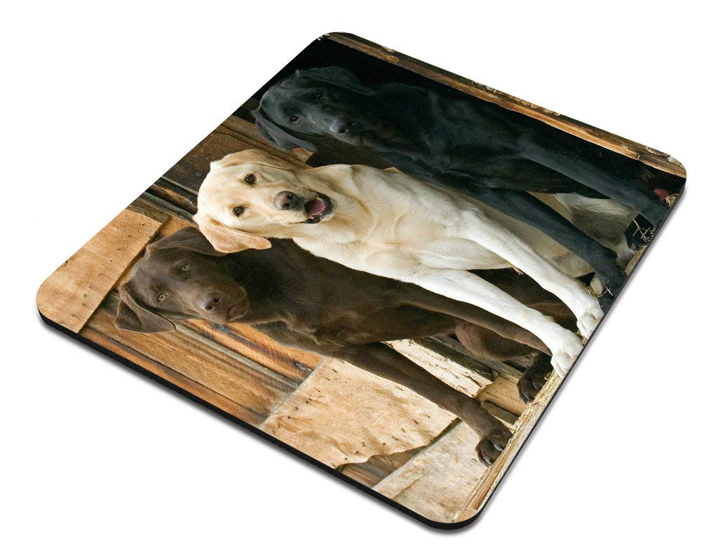 Funny Animal Dog Mouse Pad - Chocolate Yellow Black Labs Design, Non-Slip Office Desk Accessory, Perfect Gift for Dog Lovers & Home Office Decor - Great for Work, Gaming & Computer Use