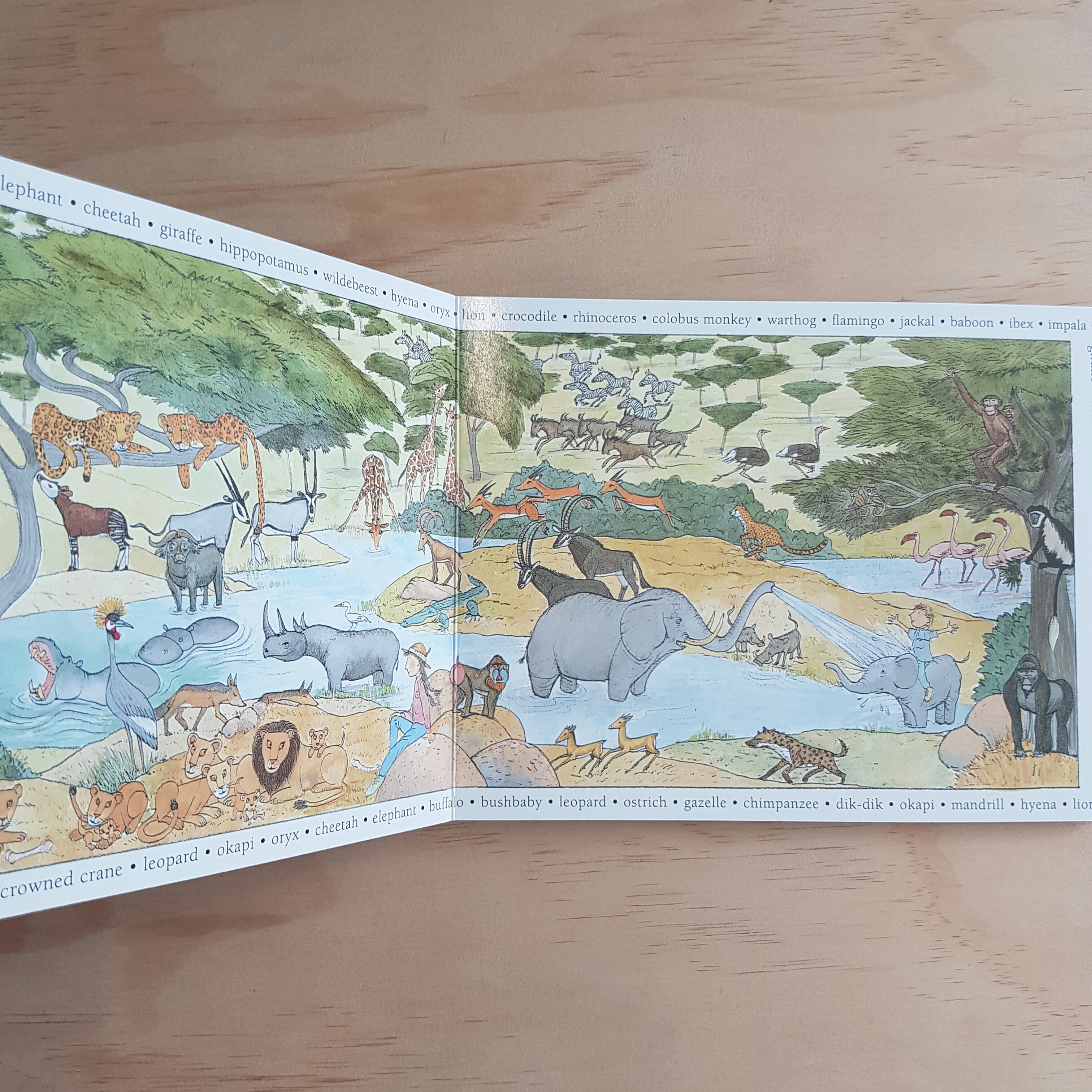 Imagine by Alison Lester Board Book - Interactive Children's Storybook for Early Learning & Bedtime Reading - Perfect for Toddlers' First Library & Preschool Education