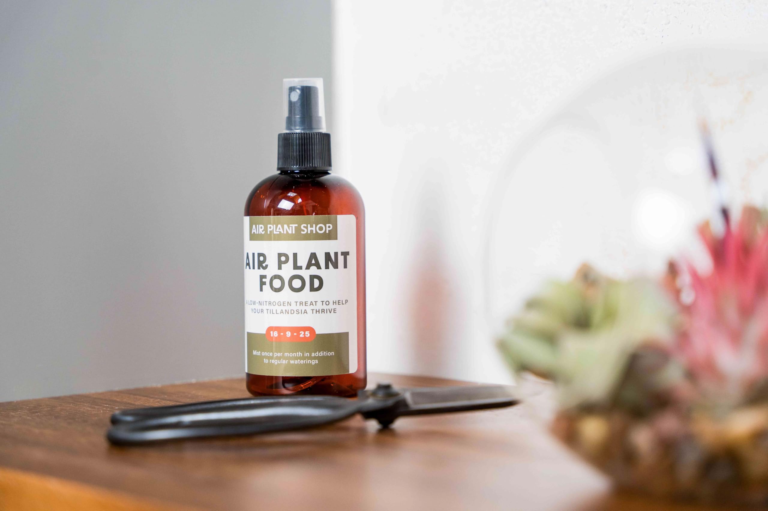 Premium Glass Plant Watering Mister - 8oz Gold Accent Spray Bottle for Indoor Plants | Ergonomic Single-Hand Design | Perfect for Succulents, Orchids & Houseplant Care