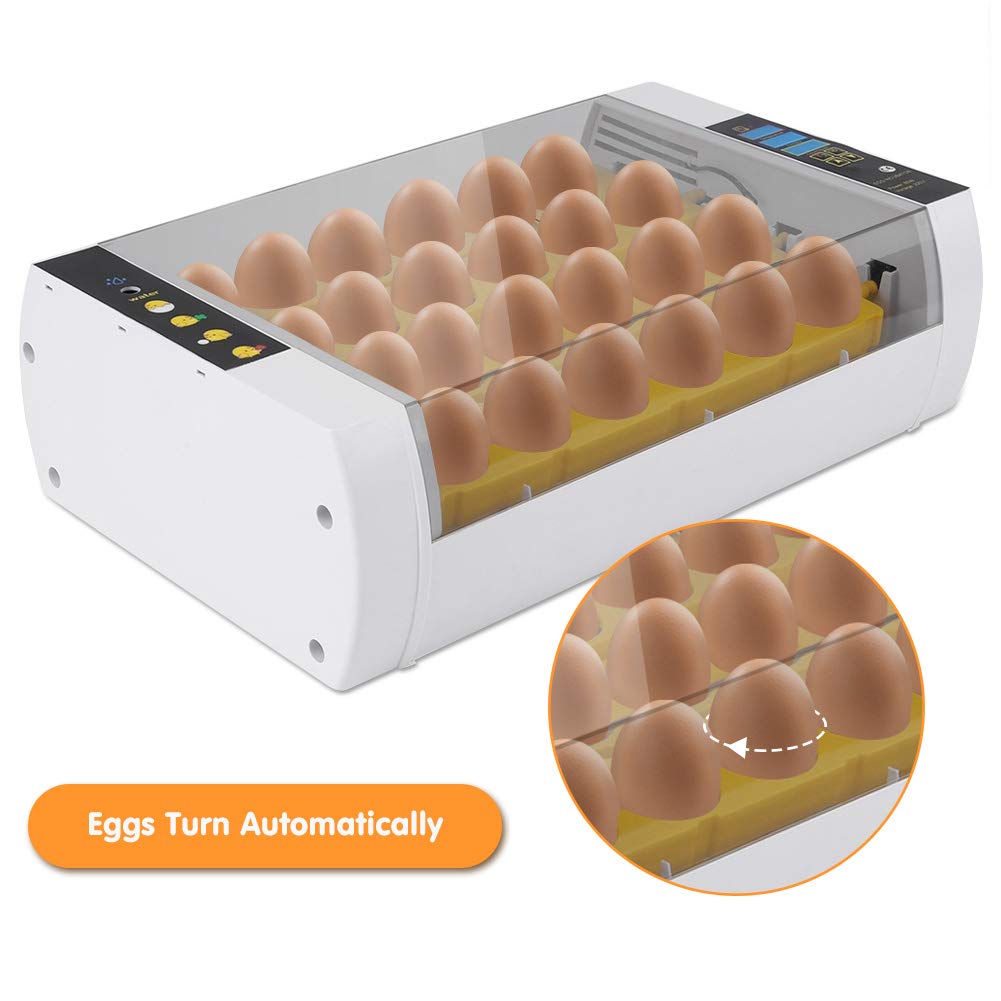 Automatic Egg Incubator with Digital Display, Temperature & Humidity Control - 24 Egg Capacity for Chickens, Ducks, Geese & Birds - Perfect for Home Poultry Farming & Classroom Hatching Projects