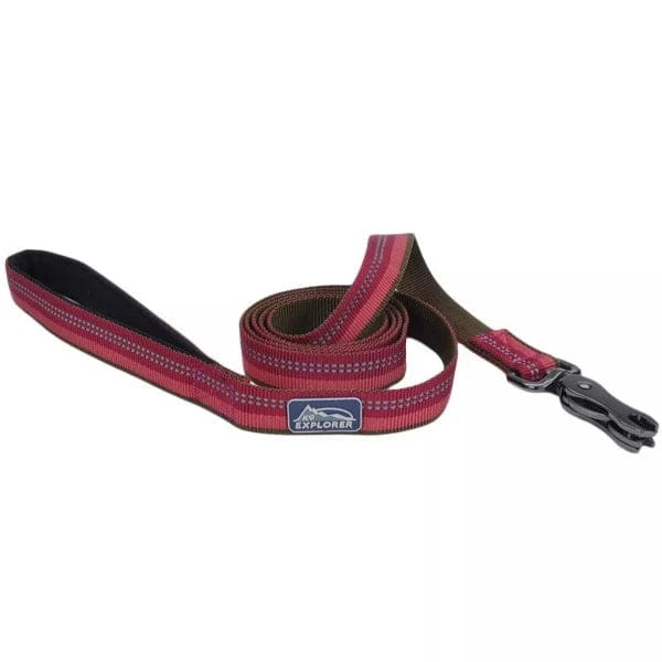 Durable Reflective Dog Leash with Scissor Snap - Strong Nylon Pet Leash for Medium & Large Dogs - Perfect for Night Walks, Jogging & Outdoor Adventures